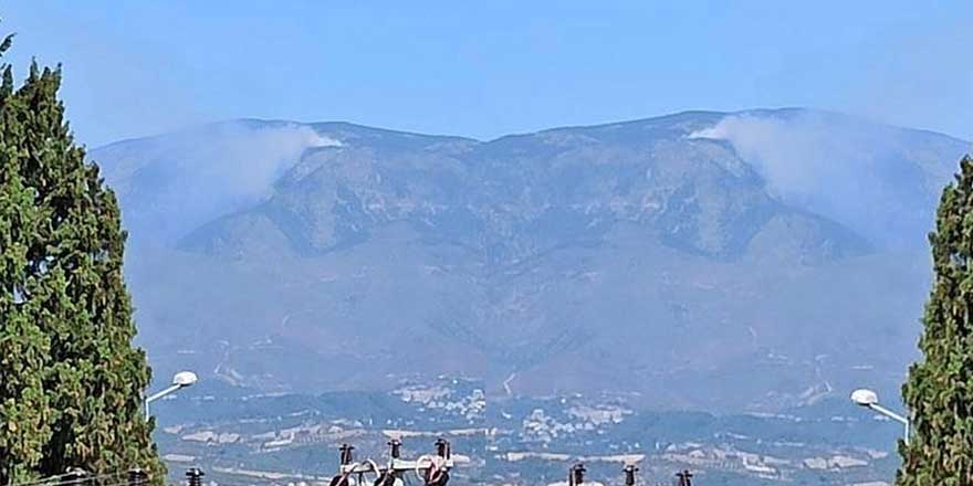 Hatay'da orman yangını!