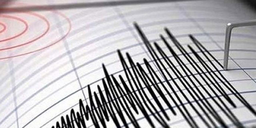 ABD'nin kuzey eyaleti Alaska'da 8.2'lik deprem