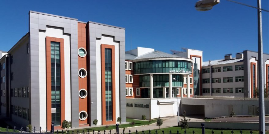 Muş Tuğallar Mezrası'nda sanat yapıları yaptırılacak