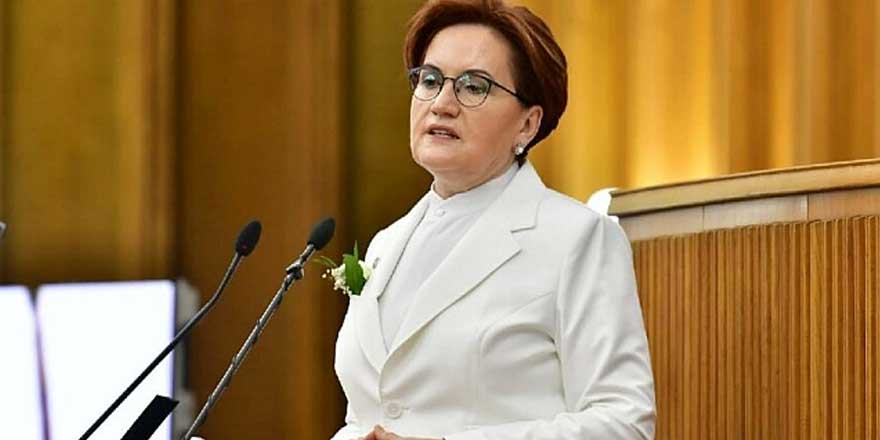 Meral Akşener, yangınlardan dolayı programını iptal etti