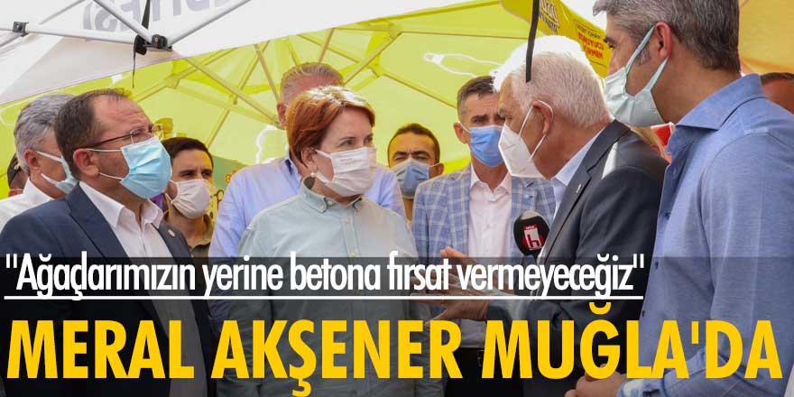 İYİ Parti lideri Meral Akşener Muğla'da: Ağaçlarımızın yerine betona fırsat vermeyeceğiz