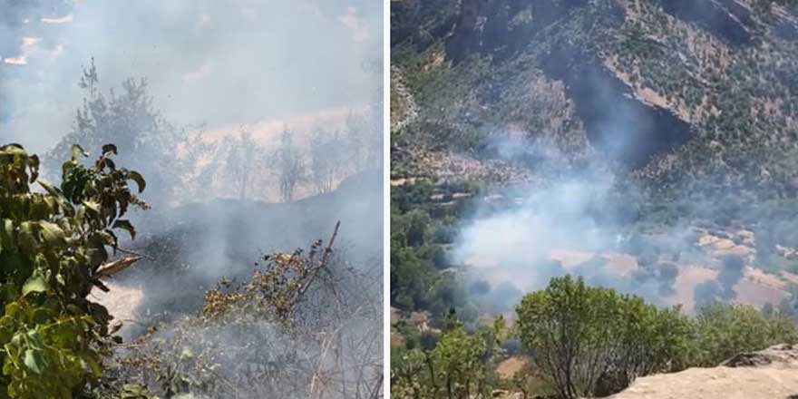 Elazığ'da orman yangını