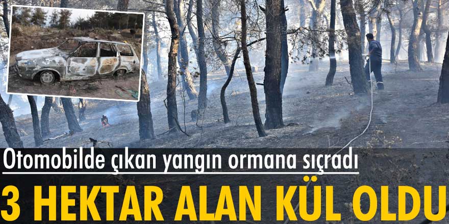 Manisa'da otomobilde çıkan yangın 3 hektar alanı yaktı