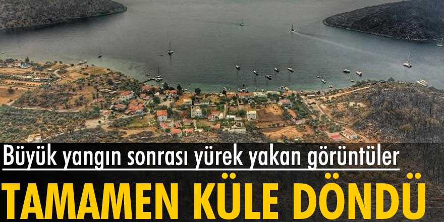 Muğla'daki büyük yangın sonrası yürek yakan görüntüler