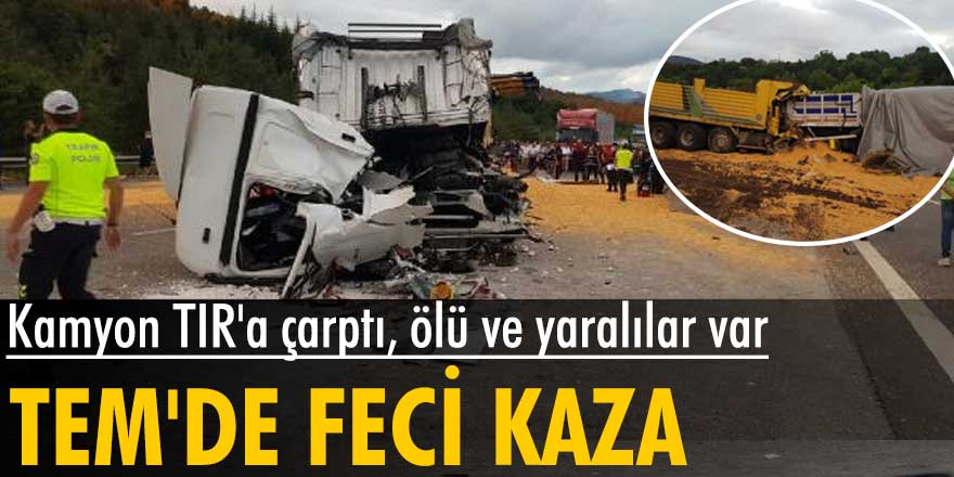 Bolu'da, TEM Otoyolu'nda feci kaza! Ölü ve yaralılar var