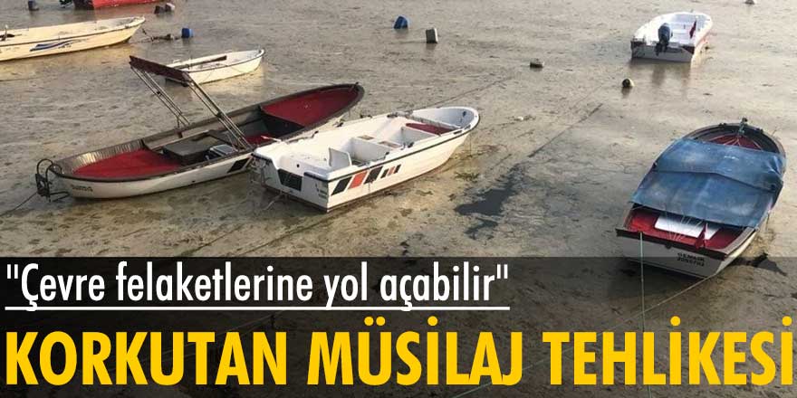 Marmara'da korkutan  ‘koloniyal’  müsilaj tehlikesi