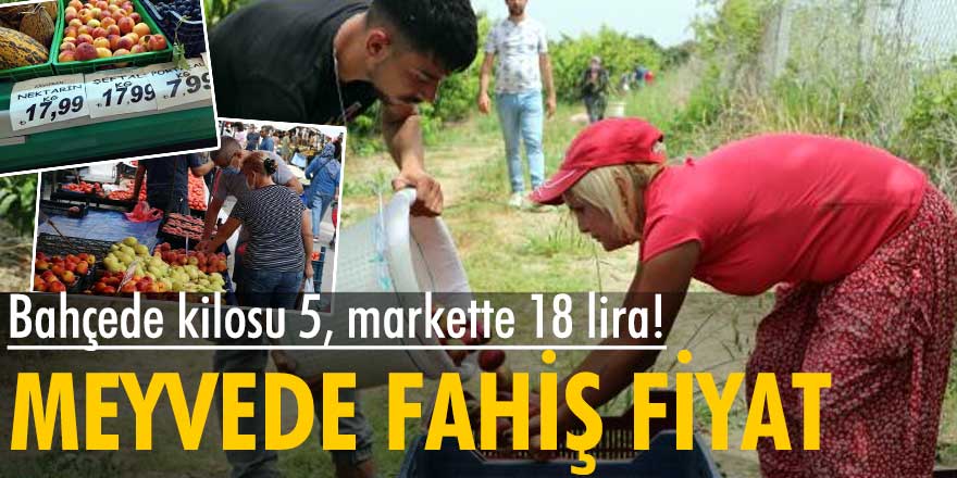 Bahçede kilosu 5, markette 18 lira! Şeftali ve nektarinde fahiş fiyat