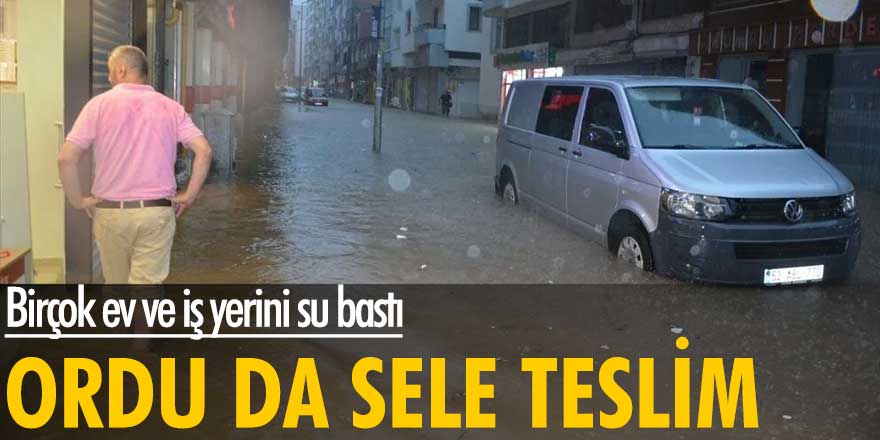 Ordu'da sele teslim... Birçok ev ve iş yerini su bastı