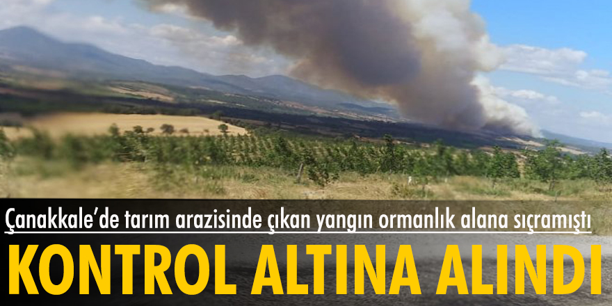 Çanakkale'de ormanlık alandaki yangın kontrol altına alındı