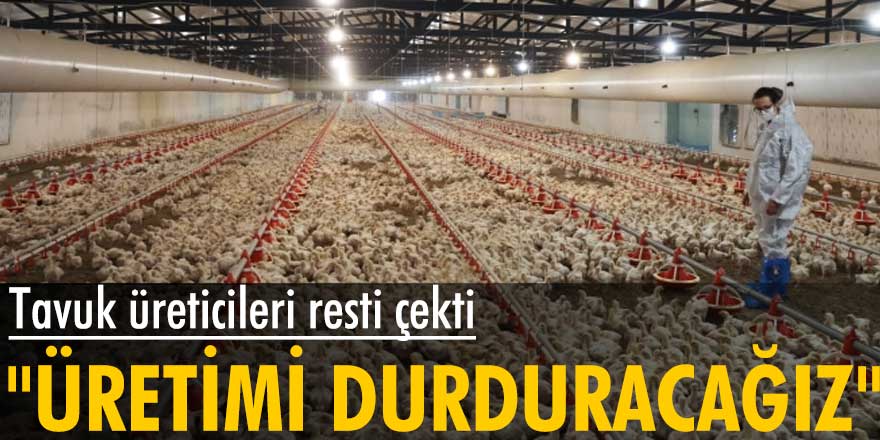 Tavuk üreticileri resti çekti: Üretimi durduracağız