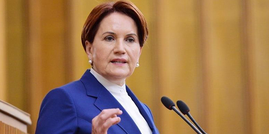 Yangın bölgesini ziyaret eden Akşener: Mutlaka iyileşeceğiz