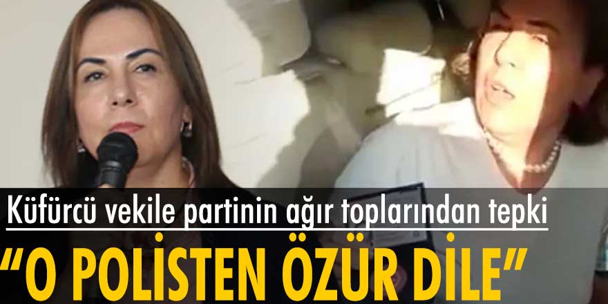 Polise hakaret eden AKP'li Zeynep Gül Yılmaz'a Şamil Tayyar tepki gösterdi, Bülent Turan destek verdi