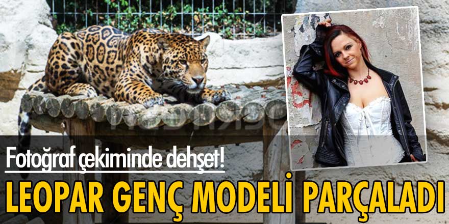 Fotoğraf çekiminde dehşet anları! Leopar genç modeli parçaladı