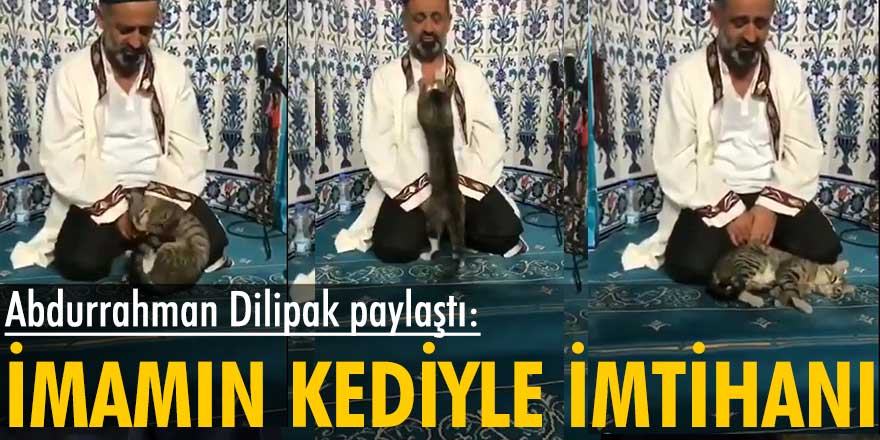 Abdurrahman Dilipak paylaştı: İmamın kediyle imtihanı