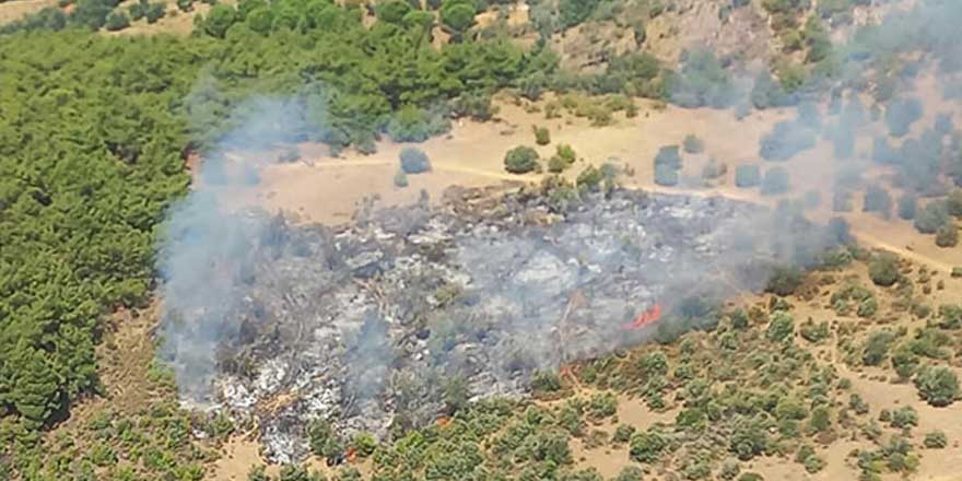 İzmir'de orman yangını