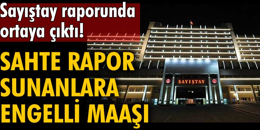 Sayıştay raporunda ortaya çıktı! Sahte rapor sunanlara engelli maaşı