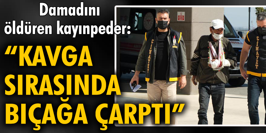 Damadını öldüren kayınpeder: Kavga sırasında bıçağa çarptı