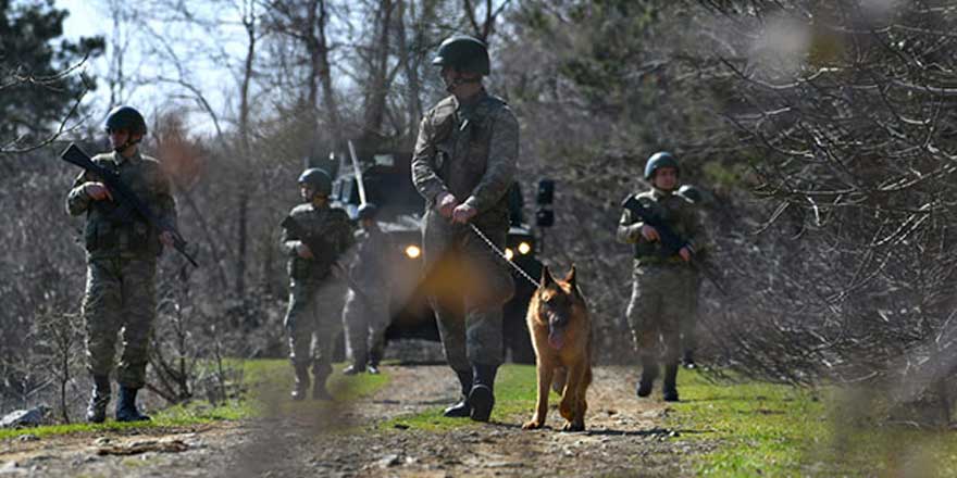 Sınırlarımızda 2'si FETÖ 1'i IŞİD mensubu 6 terörist yakalandı