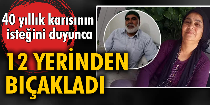 Ali Çakır nafaka isteyen eşini 12 yerinden bıçakladı!