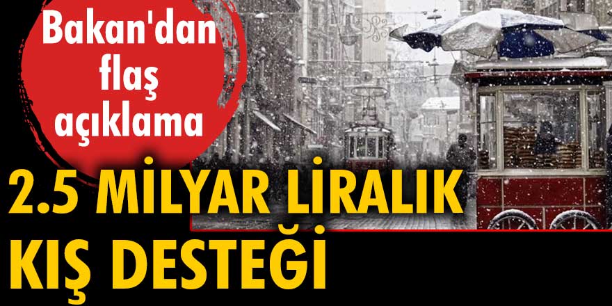 Bakan Derya Yanık, 2.5 milyar liralık kış desteği yapılacağını duyurdu