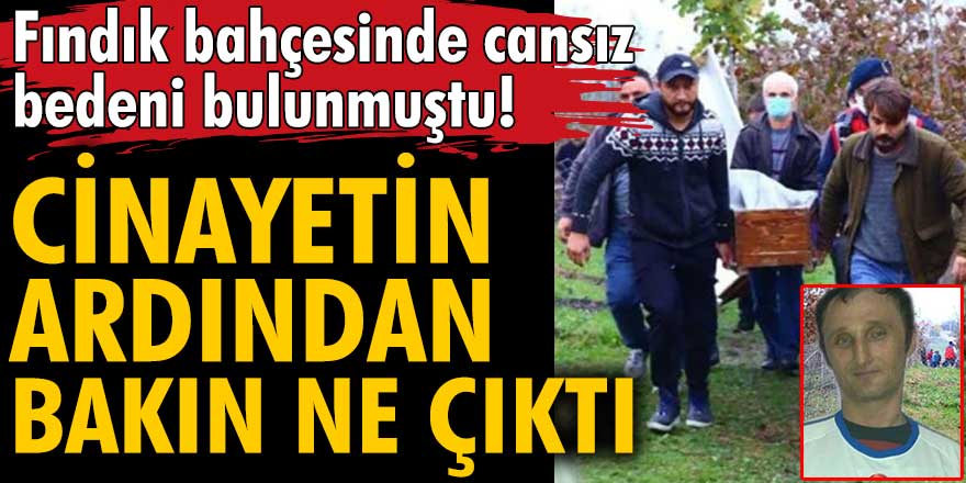 Kocaeli'nin Kandıra ilçesinde, fındık bahçesinde cansız bedeni bulunmuştu...