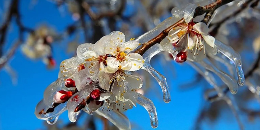 Meteoroloji'den 4 il için çok kritik uyarı