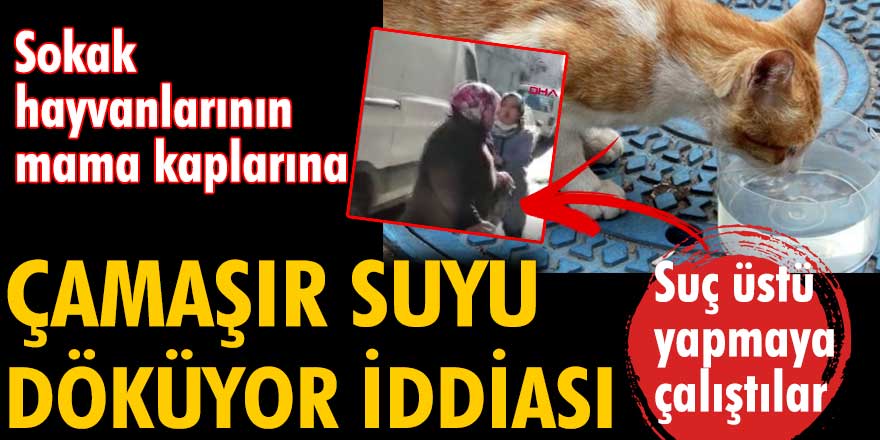 Sokak hayvanlarının mama kaplarına çamaşır suyu döküyor iddiası