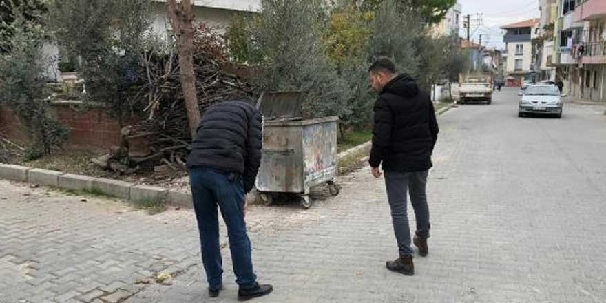 Manisa'da 'Seri kedi katili' için özel ekip kuruldu