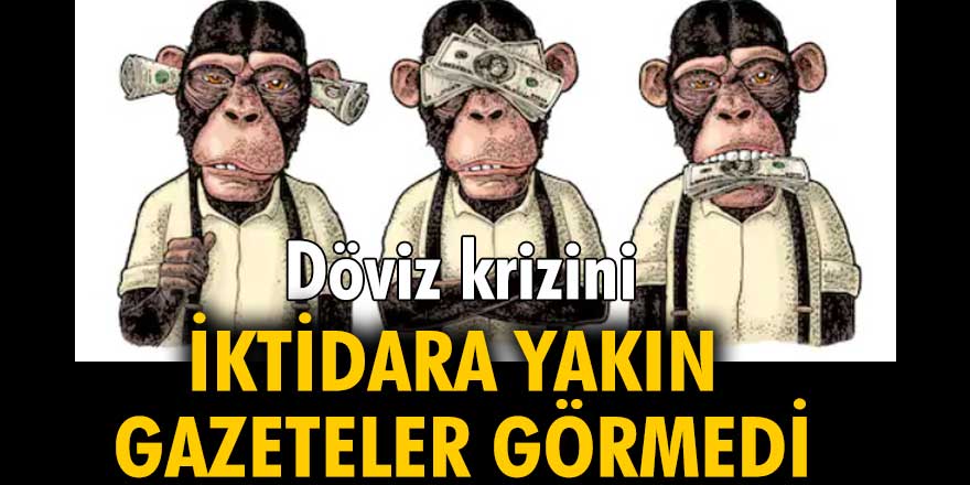 Döviz krizini iktidara yakın gazeteler görmedi