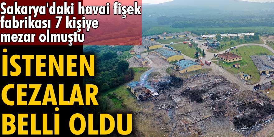 Sakarya'daki havai fişek fabrikası 7 kişiye mezar olmuştu! İstenen cezalar belli oldu