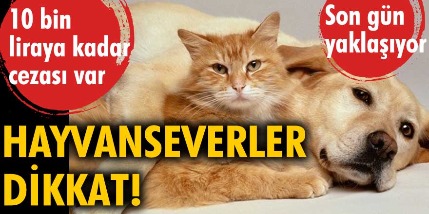 Hayvanseverler dikkat! Son gün yaklaşıyor