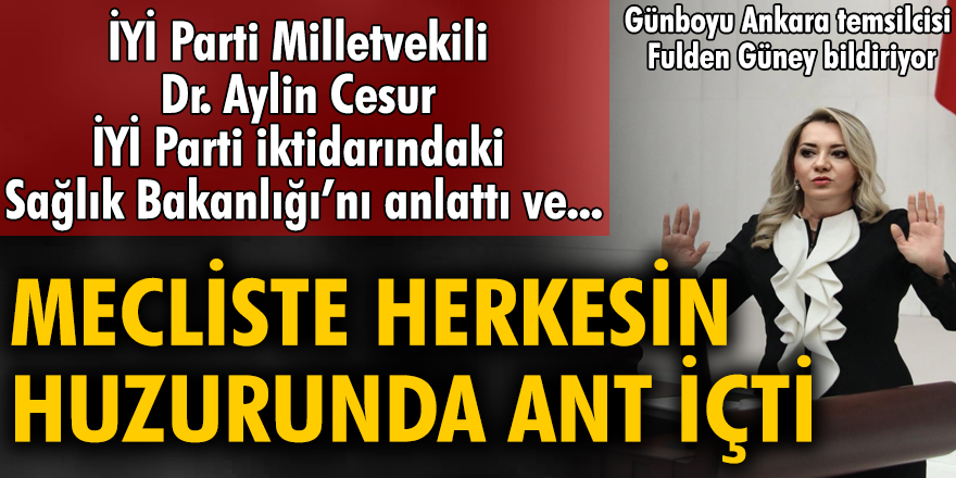 İYİ Parti Milletvekili Dr. Aylin Cesur İYİ Parti iktidarındaki Sağlık Bakanlığı'nı anlattı ve mecliste herkesin huzurunda ant içti