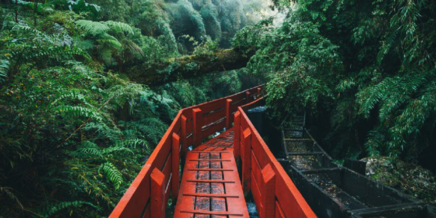 Metaverse arsa nasıl alınır? Metaverse sanal arsa fiyatları