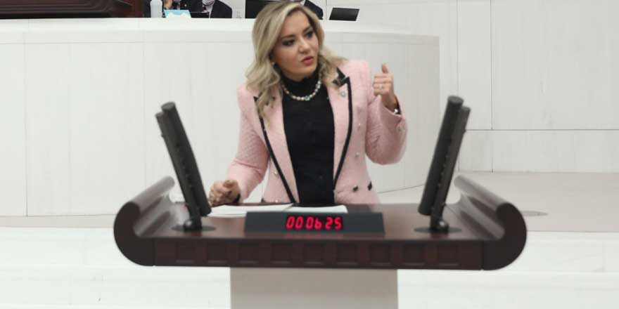 İYİ Parti li Aylin Cesur: Ülkemiz derin bir halk sağlığı sorunu ile karşı karşıya
