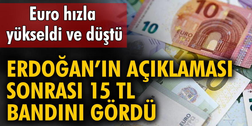 Öğle saatlerinde 20 TL'yi aşan Euro aynı gün 15 TL bandını gördü