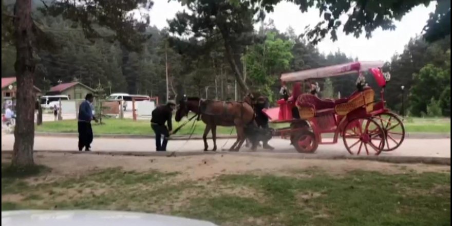 Faytondaki at yorgunluktan yere yığıldı