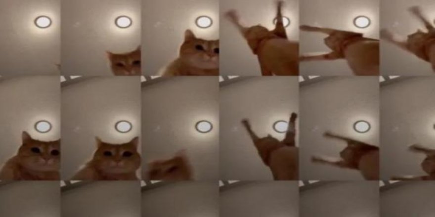 Sosyal medyanın yeni fenomeni... 6 milyon izlendi!