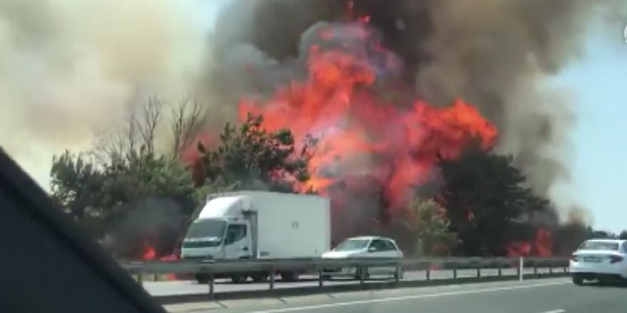Tekirdağ'da yangın