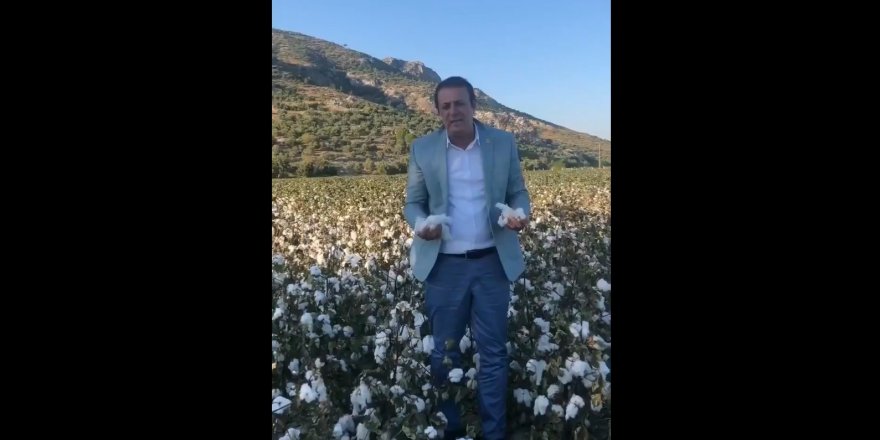 CHP'li Hüseyin Yıldız: Pamuk üreticileri perişan