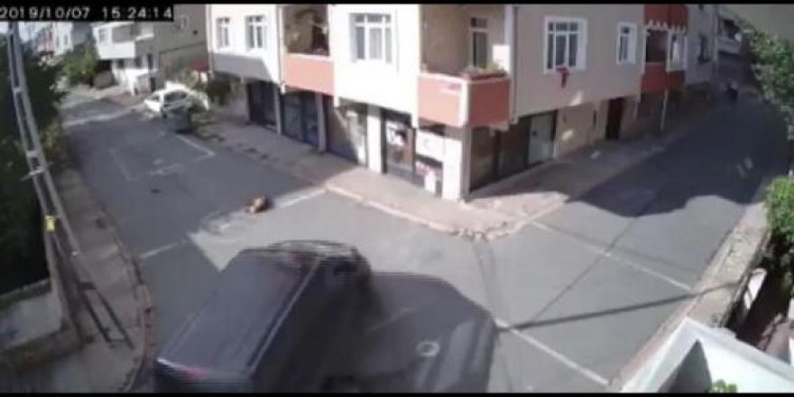 Ümraniye'de skandal! Yolda uyuyan köpeği...