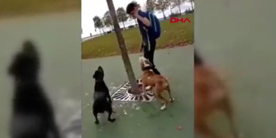 Maltepe'de isyan ettiren vahşet!