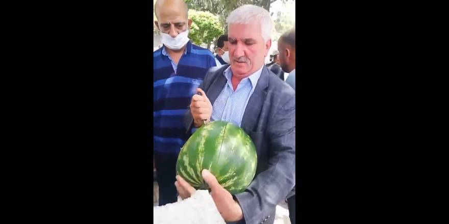 "Bu karpuz beyaz çıkarsa ülkeyi terk ederim" dedi ama...