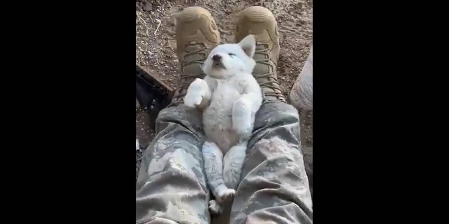 Mehmetçik merhameti ile yine gönülleri fethetti