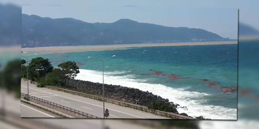 Giresun'da vatandaşın bir senelik hasadı denize döküldü