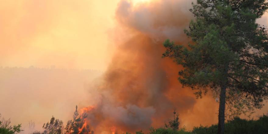 Adana Kozan'daki orman yangını söndürülemiyor
