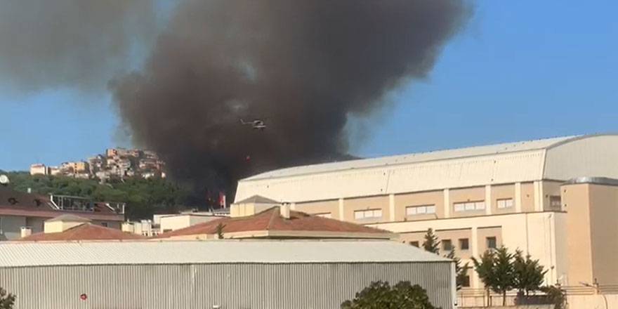 İstanbul'da ormanlık alanda yangın