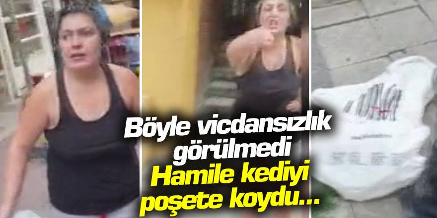 Böyle vicdansızlık görülmedi, hamile kediyi poşete koydu...