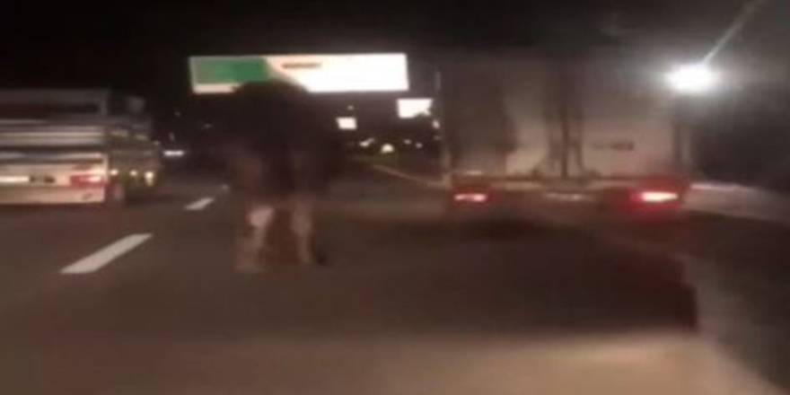 Zavallı hayvanı kilometrelerce sürükledi