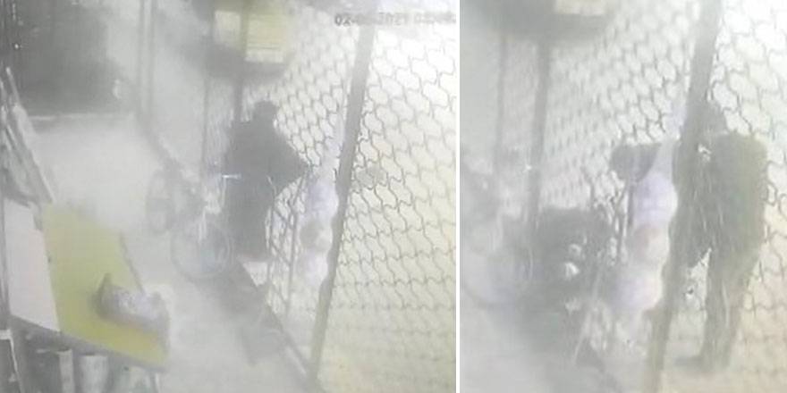 Birden fazla köpek saldırdı!