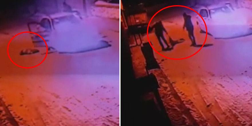 İçler acısı görüntü! Önce otomobille ezdiler sonra...
